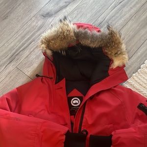 Small canada goose bomber